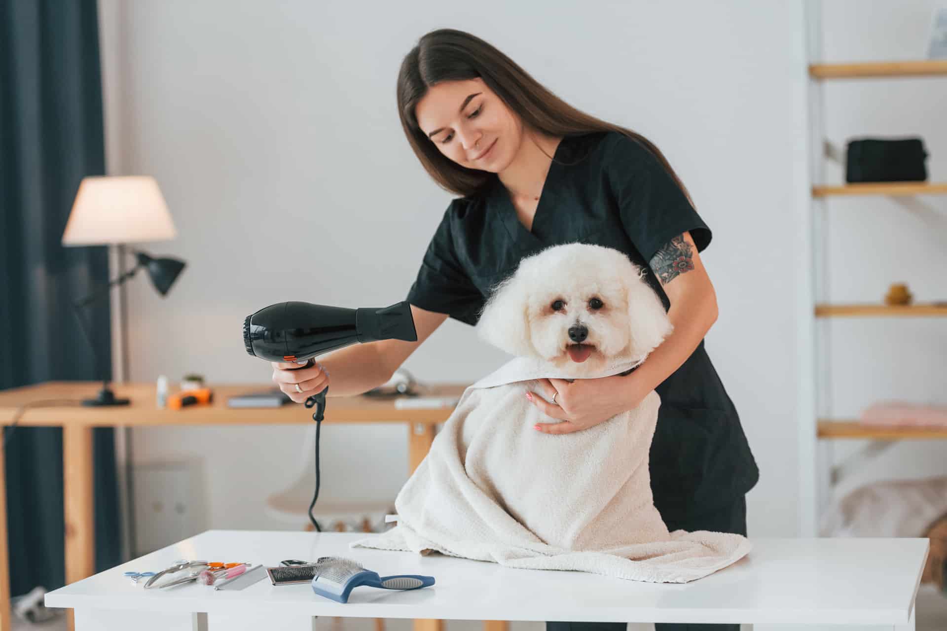 Top Dog Grooming Tips for a WellGroomed Canine WoofTrain